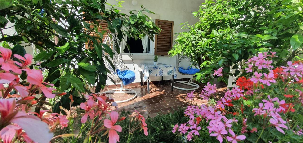New!!! New Riva Luxury One - With Sunny Terrace & Big Garden Apartment Porec Exterior photo